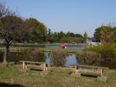 水城公園の写真16