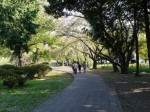 水城公園の写真のサムネイル写真17