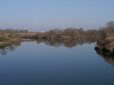 谷中湖（渡良瀬遊水地）の写真