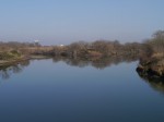 谷中湖（渡良瀬遊水地）の写真のサムネイル写真1