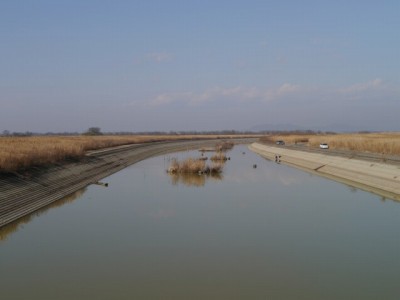 谷中湖（渡良瀬遊水地）の写真2