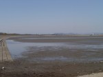 谷中湖（渡良瀬遊水地）の写真のサムネイル写真10
