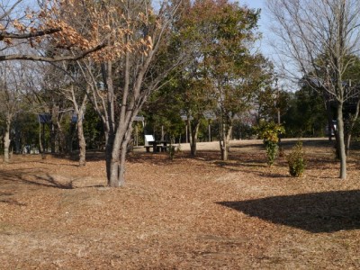 環境科学国際センターの写真5
