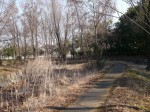 環境科学国際センターの写真のサムネイル写真6