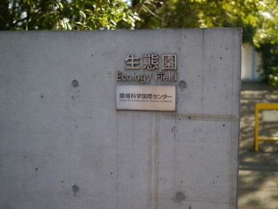 環境科学国際センターの写真8