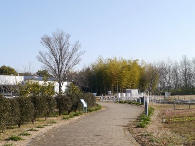 環境科学国際センターの写真9