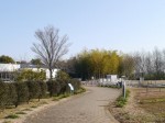 環境科学国際センターの写真のサムネイル写真9