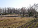 環境科学国際センターの写真のサムネイル写真10