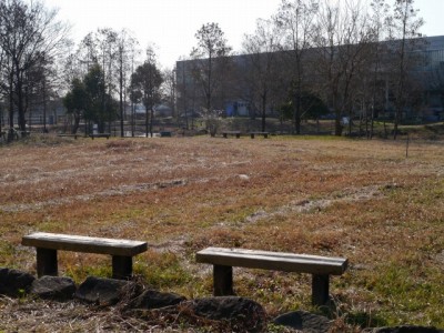 環境科学国際センターの写真14