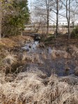 環境科学国際センターの写真のサムネイル写真15