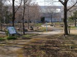 環境科学国際センターの写真のサムネイル写真16