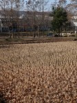 環境科学国際センターの写真のサムネイル写真18