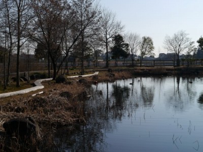 環境科学国際センターの写真20