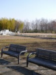 環境科学国際センターの写真のサムネイル写真22