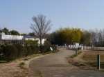 環境科学国際センターの写真のサムネイル写真23
