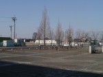 環境科学国際センターの写真のサムネイル写真25