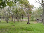 環境科学国際センターの写真のサムネイル写真28