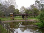 環境科学国際センターの写真のサムネイル写真29