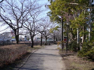 大吉公園の写真4