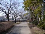 大吉公園の写真のサムネイル写真4