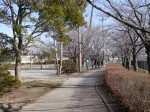 大吉公園の写真のサムネイル写真5