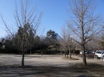 大吉公園の写真のサムネイル写真7