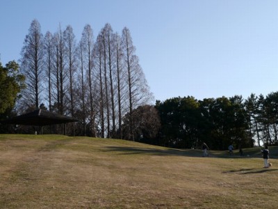 久喜菖蒲公園の写真14