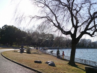 久喜菖蒲公園の写真17