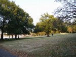 久喜菖蒲公園の写真のサムネイル写真24