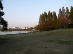 久喜菖蒲公園の写真のサムネイル写真29