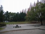 久喜菖蒲公園の写真のサムネイル写真37