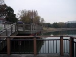 久喜菖蒲公園の写真のサムネイル写真43
