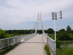 県営権現堂公園（幸手市権現堂堤）の写真のサムネイル写真1