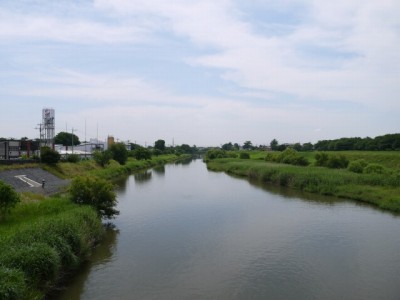 県営権現堂公園（幸手市権現堂堤）の写真3