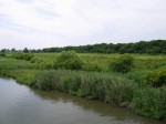 県営権現堂公園（幸手市権現堂堤）の写真のサムネイル写真4