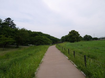 県営権現堂公園（幸手市権現堂堤）の写真8