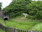 県営権現堂公園（幸手市権現堂堤）の写真のサムネイル写真9