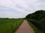 県営権現堂公園（幸手市権現堂堤）の写真のサムネイル写真12