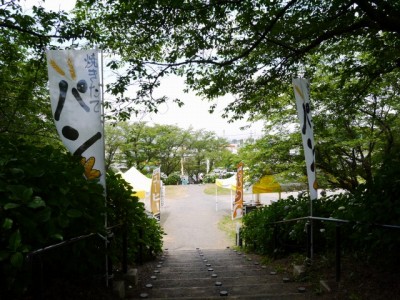 県営権現堂公園（幸手市権現堂堤）の写真16