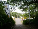 県営権現堂公園（幸手市権現堂堤）の写真のサムネイル写真16