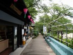 県営権現堂公園（幸手市権現堂堤）の写真のサムネイル写真17