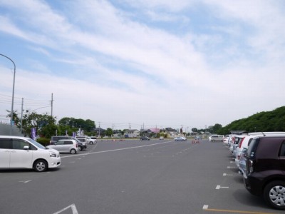 県営権現堂公園（幸手市権現堂堤）の写真21