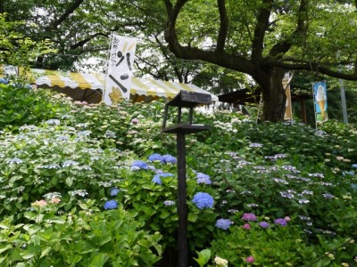 県営権現堂公園（幸手市権現堂堤）の写真23