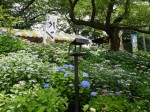 県営権現堂公園（幸手市権現堂堤）の写真のサムネイル写真23