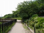 県営権現堂公園（幸手市権現堂堤）の写真のサムネイル写真28