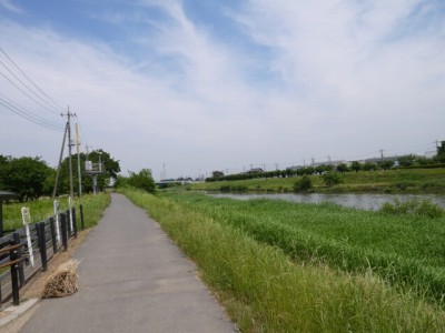 県営権現堂公園（幸手市権現堂堤）の写真33