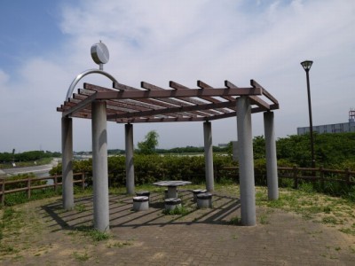 県営権現堂公園（幸手市権現堂堤）の写真43