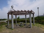 県営権現堂公園（幸手市権現堂堤）の写真のサムネイル写真43