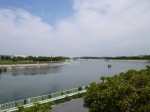 県営権現堂公園（幸手市権現堂堤）の写真のサムネイル写真45