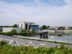 県営権現堂公園（幸手市権現堂堤）の写真のサムネイル写真46